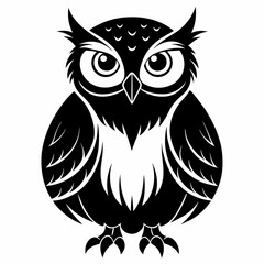 owl on white background