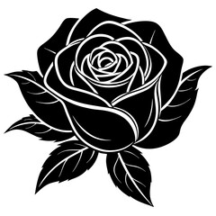 black and white rose