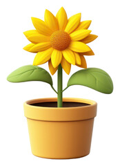 Obraz premium PNG Sunflower plant leaf pot.