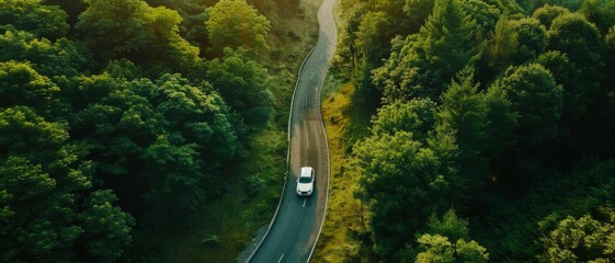 A car driving down a winding road flanked by lush green forest on both sides, capturing a serene and scenic journey.