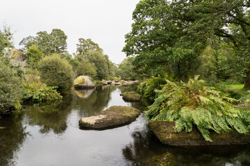 Fototapeta premium Au début de l'automne, la rivière Ellez traverse un paysage parsemé de roches en granit. Les couleurs automnales se mêlent à l'eau, créant une scène harmonieuse.