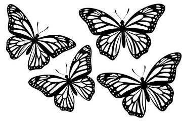 set of butterflies isolated vector illustration with white background