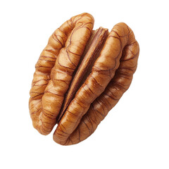 Pecan shell on transparent background