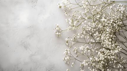 delicate white baby's breath flowers on a textured light gray background