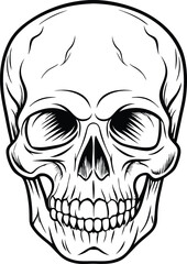 Halloween skull line art vector icon, illustration on hand drawn style.