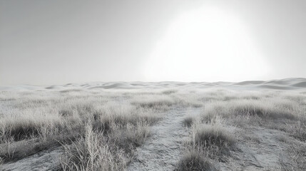 Fototapeta premium Grayscale Field with Sun Illustration