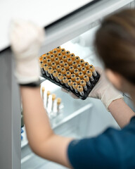 Gloved physician arranges vials of blood plasma in clinical refrigerator in laboratory. Vials of...