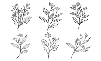 Set of floral branch and minimalist flowers for logo or tattoo. Hand drawn wild field flora, line wedding herb, elegant leaves for invitation, save the date card.
