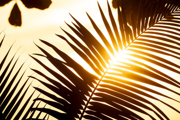 beautiful palm tree silhouette tropical vibes nature sun golden hour nature 