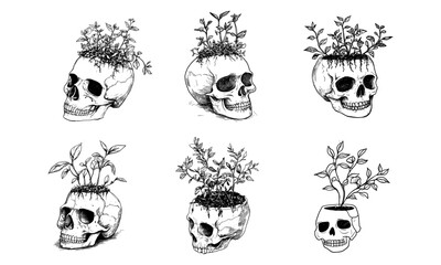 Set mystical mushroom skull isolated clipart bundle, creepy floral boho skull. Mushroom human skull set, horror halloween black and white vector illustration
