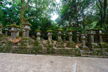 奈良県　春日大社の風景