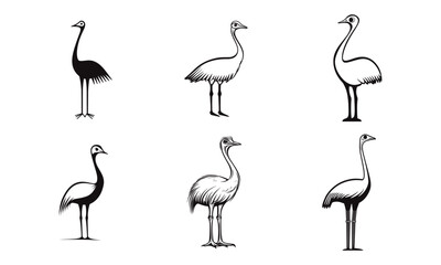 flamingo set, silhouette collection on white background vector
