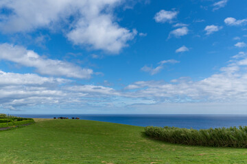 Horta city in Faial island Azores Portugal