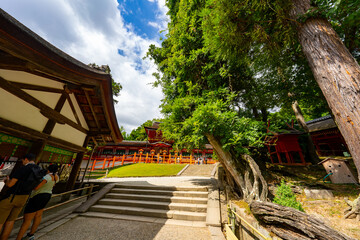奈良県　春日大社の風景