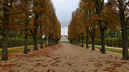 Naklejka premium Morgenstimmung im Herbst, Schloss und Park Pillnitz an der Elbe bei Dresden, Sachsen, Deutschland 