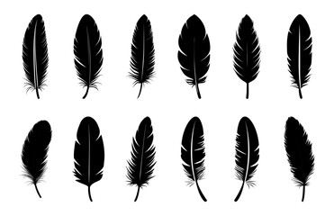 Feather Set icon, logo isolated on white background. Vector illustration
