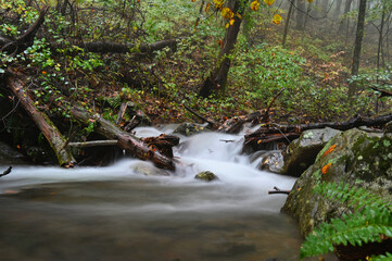 Stream river creek in the forest in autumn, Skyline Drive Virginia, Shenandoah National Park