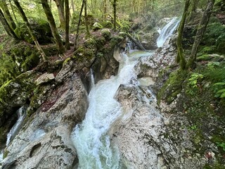 The Šunik water grove or waterfalls on the Lepenca stream (Bovec, Slovenia) - Der Sunik-Wasserhain oder Wasserfälle am Bach Lepenca (Bovec, Slowenien) - Šunikov vodni gaj v Lepeni (Bovec, Slovenija) © Mario