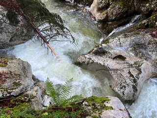 The Šunik water grove or waterfalls on the Lepenca stream (Bovec, Slovenia) - Der Sunik-Wasserhain oder Wasserfälle am Bach Lepenca (Bovec, Slowenien) - Šunikov vodni gaj v Lepeni (Bovec, Slovenija) © Mario
