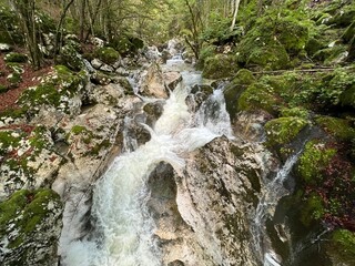 The Šunik water grove or waterfalls on the Lepenca stream (Bovec, Slovenia) - Der Sunik-Wasserhain oder Wasserfälle am Bach Lepenca (Bovec, Slowenien) - Šunikov vodni gaj v Lepeni (Bovec, Slovenija) © Mario