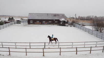 Horseback riding woman riding horse outdoors in winter. Brunette woman riding beautiful black horse...