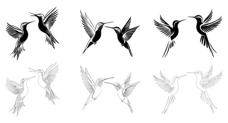 hummingbird vector silhouette design on white background
