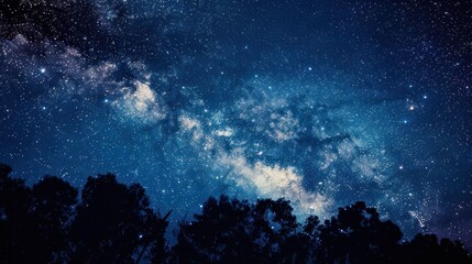 Night sky with stars and the Milky Way galaxy. Silhouette of trees in the foreground.