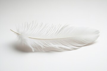 Obraz premium On a white backdrop, a white feather isolated. Generative Ai