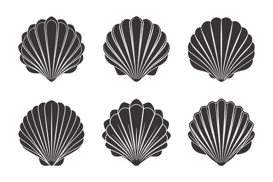 Set of scallop shell logo. Collection of isolated scallop silhouettes on white background. Illustration
