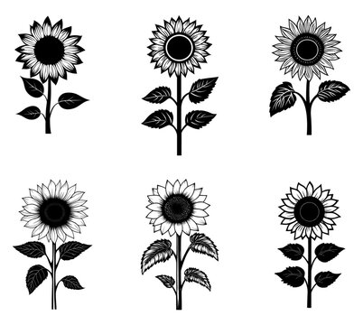 Line art vector clipart of sunflower

