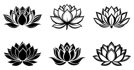 Lotus flower symbol logo vector
