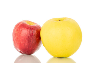 One bright yellow ripe apple and one red, macro, isolated on white background.