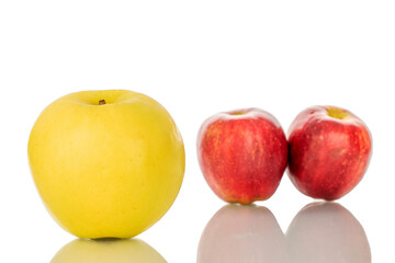 One bright yellow ripe apple and two red apples, macro, isolated on white background.