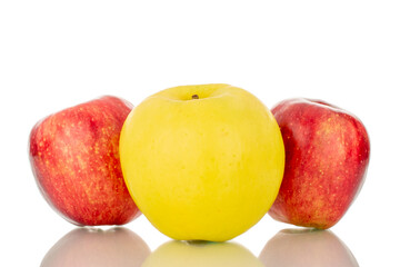 One bright yellow ripe apple and two red apples, macro, isolated on white background.