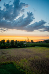 sunset over the field