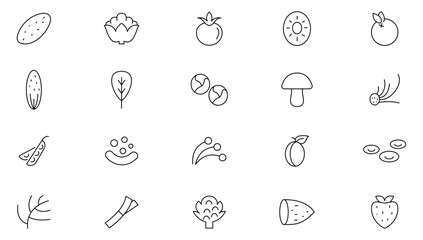 Vegetable line icon set.  Vegetarian food, proper nutrition, tomato, cherry, cucumber, pepper, broccoli, potato, carrot, cabbage, pumpkin, root, garlic line icon set. UI thin line icon pack.