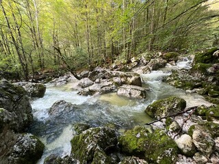 The Lepenjica stream in the area of ​​Šunik's water grove or the Lepenca stream in the alpine valley of Lepena (Bovec, Slovenia) - Der Bach Lepenjica im Bereich des Wasserhains von Šunik (Slowenien)