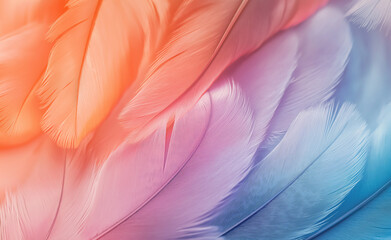 Obraz premium Close-up of colorful feathers in shades of blue and orange, creating a soft, textured abstract.