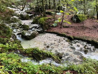 The Lepenjica stream in the area of ​​Šunik's water grove or the Lepenca stream in the alpine valley of Lepena (Bovec, Slovenia) - Der Bach Lepenjica im Bereich des Wasserhains von Šunik (Slowenien)