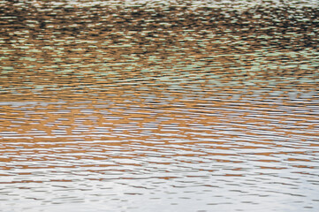 textured water with sunlight where the colors and shine go from blue to gold in waves in a horizontal photo