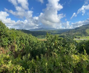 Obraz premium Hawaii Views 