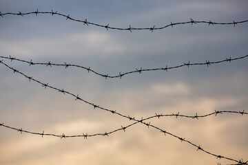 Photo with barbed wire as the symbol of the prison or the border fence.