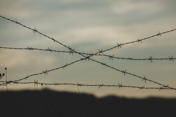 Photo with barbed wire as the symbol of the prison or the border fence.