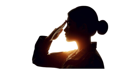 Veterans Day Salute with American Flag Silhouette Honoring Service and Sacrifice in Iconic Military Tribute