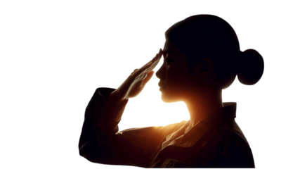 Veterans Day Salute with American Flag Silhouette Honoring Service and Sacrifice in Iconic Military Tribute