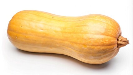 A single, ripe butternut squash isolated on a white background.