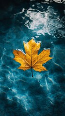 A vibrant yellow maple leaf floating on tranquil blue water.
