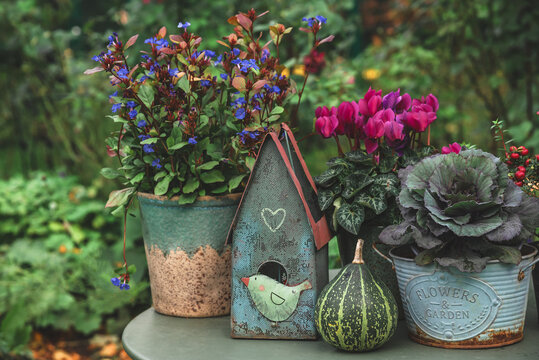 Autumn still life with decor and flowers in the garden.
