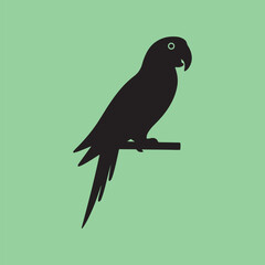 parrot vector clipart