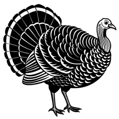 illustration of turkey 